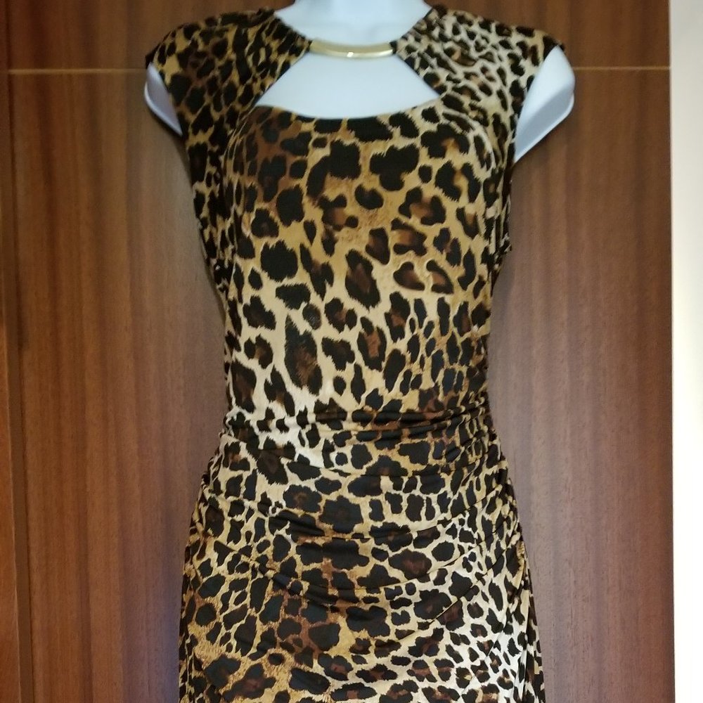 NWT Cache Leopard Elegant Dress Size 12